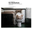  The New York Times MagazineHow To Toilet Train Your Cat  Inspired by a Charles Mingus pamphlet https://www.nytimes.com/2022/03/15/magazine/charles-mingus-toilet-train-cat.html    