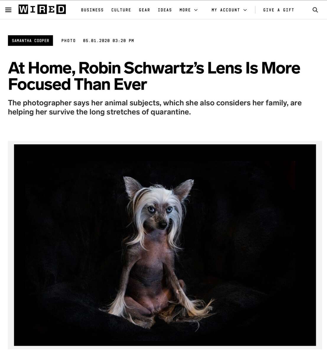  Wired Magazine Assignment: Shuttered at Home, Quarantine Interview and 7 Photographs   https://www.wired.com/story/robin-schwartz-quarantine-animals/ 