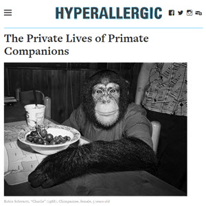  HYPERALLERGIC - The Private Lives of Primates interview for exhibition - Alice Austen House Museum 
