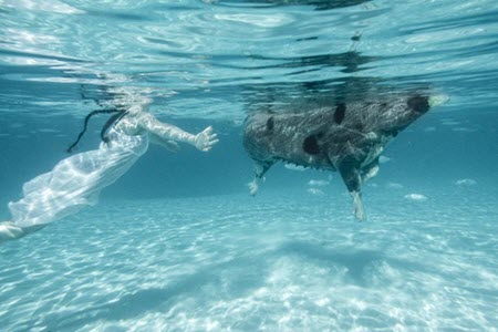 Auction to support www.WomenPhotograph.com on Paddle 8Auction closes December 15, 2016, 6 PM ETMy photograph: Teenagers, Amelia and Swimming Pig, Bahamas, 2016Voyager Assignment for The New York Times Magazine