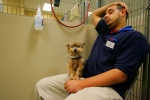 PetSmart chain stores have PetsHotel services catering to pets whose parents must leave town without them.