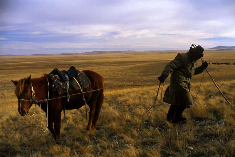 A sheepherder in Kazakhstan pulls on his horse as it tries to eat the grass 