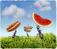 A photo illustration on a story about {quote}Antsy to find the perfect picnic spot.{quote}