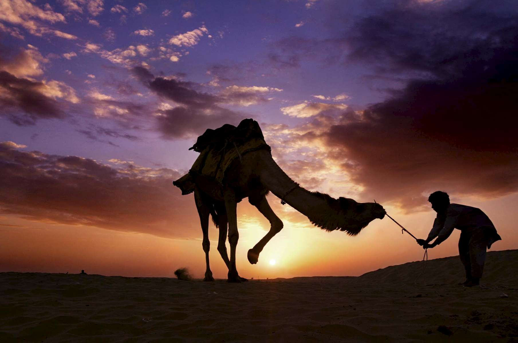 A Rajasthani boy coaxes his camel to rest as the sun sets over the Thar Desert in India.