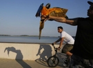 Nino Deler, of Boston, holds his parrot {quote}Birdbrain{quote} out for onlookers as his son, Nino Jr.,  rides his bike along the boardwalk in South Boston, Massachusetts August 20, 2013.