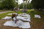 Falfurrias, Texas - Lori E. Baker, Ph.D. places her hand on one of the eight body bags that members of the Baylor forensics team exhumed from a pauper's grave in Falfurrias, Texas June 10, 2014.