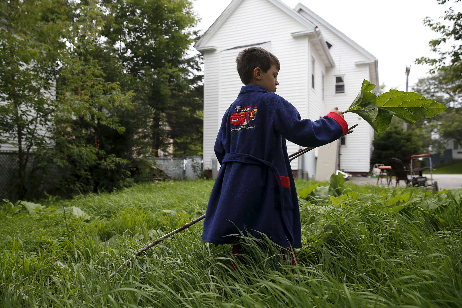 Lisbon, Maine -- 8/11/2015-- After waking up in his new home and pulling on a newly donated bathrobe, Strider affixed a giant leaf to the end of a stick and played in the backyard. Jessica Rinaldi/Globe Staff