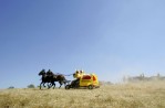 A team competes in the mule race at the National Championship Chuckwagon Races in Clinton, Arkansas September 1, 2007. 