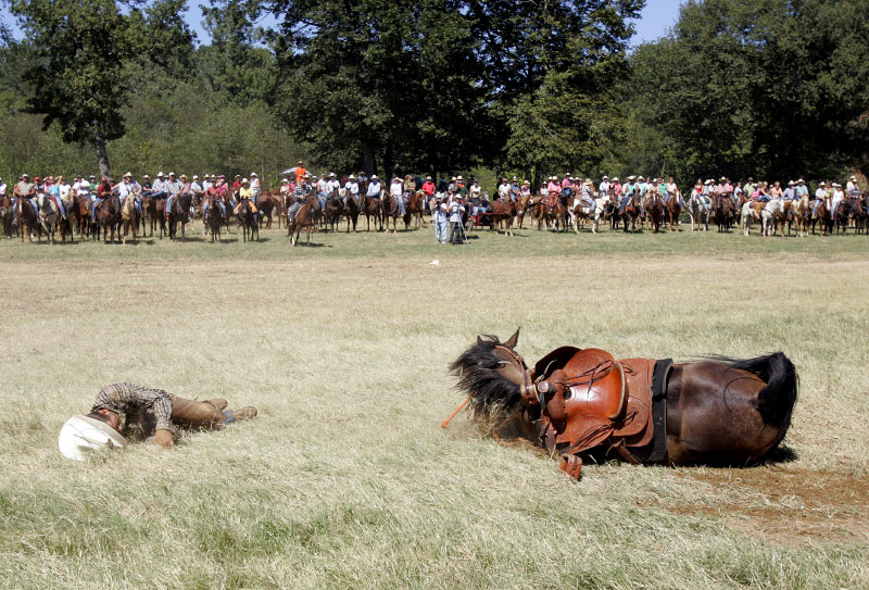 A cowboy and his horse lay on the ground after the horse fell during the National Championship Chuckwagon Races in Clinton, Arkansas September 1, 2007.