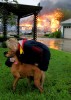 Frederika Kotin kisses her dog Belle as her home burns behind her after Hurricane Ike hit Galveston, Texas September 13, 2008. 