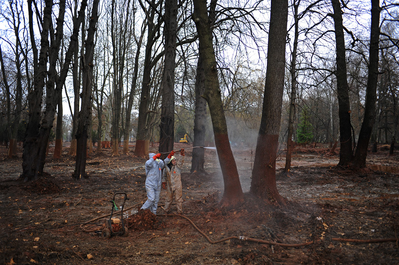 DEVECSER, HUNGARY.  Clean up crews work to hose down contaminated trees in the castle park that schoolchildren used to play in on November 20, 2010 in the aftermath of a toxic industrial accident on October 4, 2010 that resulted from a rupture in a reservoir containing toxic alumina sludge in nearby Ajka, Hungary that sent hazardous red sludge gushing through Devecser and several surrounding towns, killing ten, injuring hundreds and leaving several families homeless.
