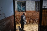 DEVECSER, HUNGARY.  Geza Csenki, 63, outside the entrance of his ruined and uninhabitable home on November 25, 2010, less than seven weeks after an industrial accident at the MAL plant in nearby Ajka, Hungary sent a torrent of toxic red alumina sludge gushing through Devecser and several surrounding villages, killing ten, injuring hundreds and leaving several families homeless.  Csenki's efforts to organize demonstrations on behalf of the survivors have been met with an extraordinary response by the authorities who have gone to great lengths to accommodate Csenki and the complaints he has brought forward on behalf of villagers in an effort to avoid official embarrassment.