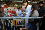 BELGRADE, SERBIA.  (L-r) Serbian nurse Ana Mitrovic and doctor Maja Grubac examine a girl from Syria at the Refugee Aid Serbia distribution center on September 3, 2015.  Thousands of refugees mainly from Syria but also Iraq, Iran and Afghanistan have made the journey from Turkey to Greece and through Macedonia before arriving in Serbia on their way to Europe in search of a better life, mainly in Germany.