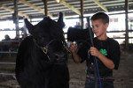 URBANA, ILLINOIS.  Alex Warner, 10, of Rantoul, Illinois waits to show his angus cow {quote}Little Rascal{quote} at the Champaign County Fair on July 30, 2015.  Summer is county fair season and in Illinois, that means food, 4H, and the midway; Warner's angus cow placed first in the lightweight class of angus cow.