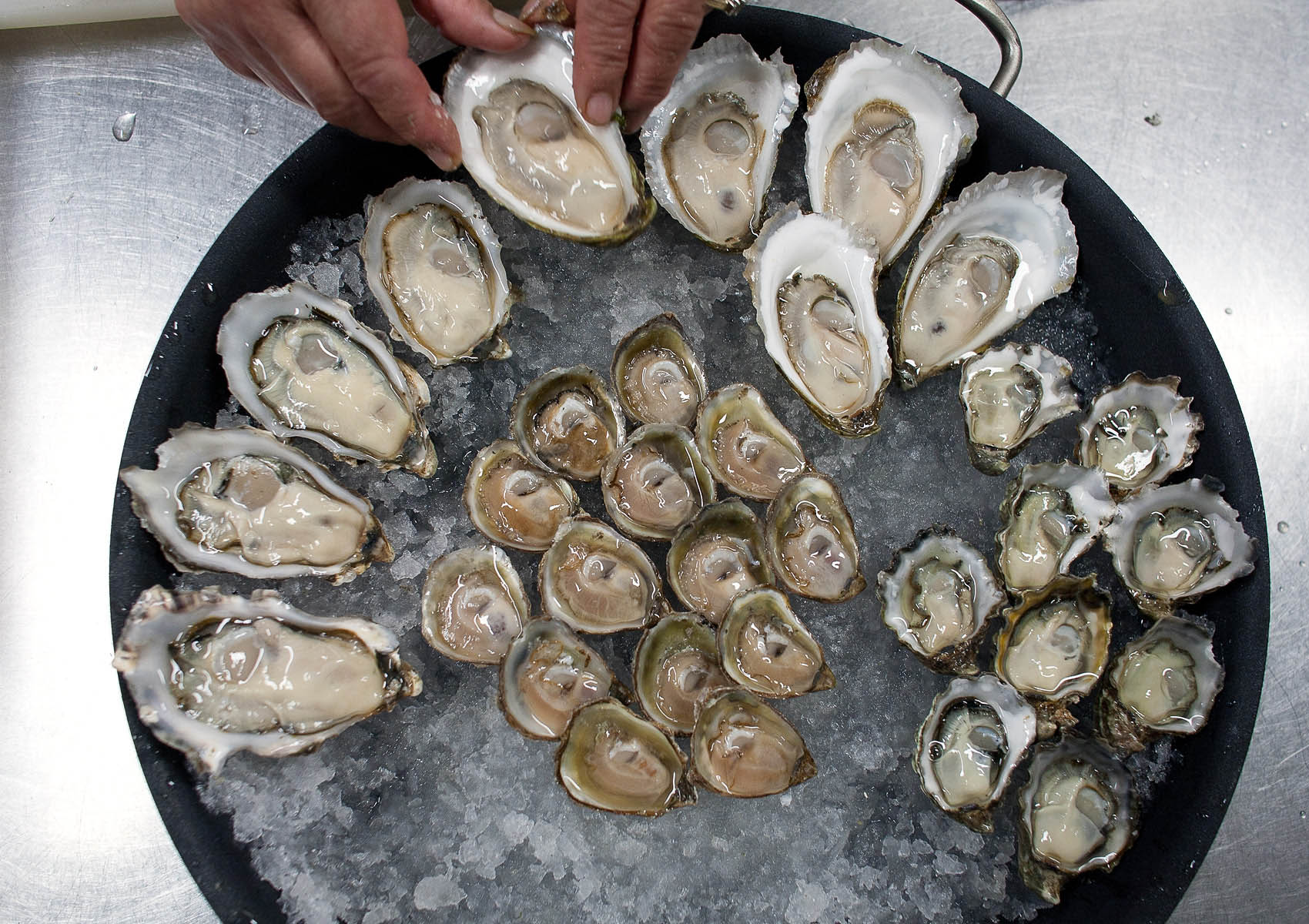 Oysters_Asst_Platter
