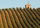 Wine_Red_Willow_Chapel
