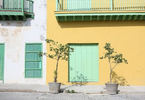 Verde y Amarillo, Habana Vieja 