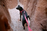 Dolly in a slot canyon.