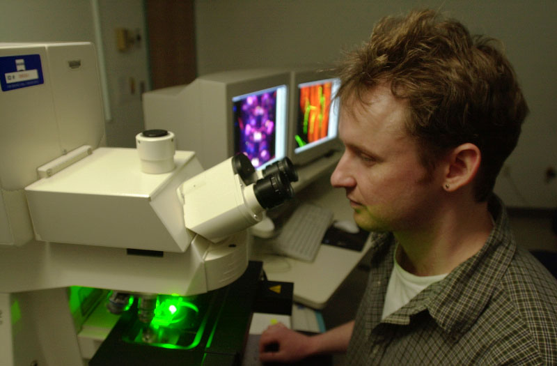 © 2010 Harvard University. A doctoral student in neurobiology at Harvard Medical School looks at a slide of drosophilia nerve cells.