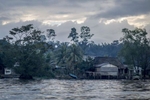 IZABAL, GUATEMALA. February 13, 2018 – In the last 20 years, palm oil plantations in this region have replaced former cattle ranches, continuing the indigenous struggle for land rights in the Polochic Valley. Indigenous Maya Q'eqchi communities such as Chapin Abajo along Lake Izabal in eastern Guatemala, have no state presence. There is no police. Only a palm oil company provides jobs and health services.Palm oil plantations in Guatemala have the highest productivity per hectare of any country in the world, according to the Oil Palm Growers’ Guild in Guatemala (GREPALMA). The world average in palm oil productivity is four tons per hectare, whereas Guatemala is producing seven tons.