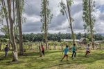 IZABAL, GUATEMALA. February 13, 2018 – Children play soccer in an indigenous Maya Q'eqchi community, in the shadow of a palm oil farm, along Lake Izabal, in eastern Guatemala. Palm oil plantations in Guatemala have the highest productivity per hectare of any country in the world, according to the Oil Palm Growers’ Guild in Guatemala (GREPALMA). The world average in palm oil productivity is four tons per hectare, whereas Guatemala is producing seven tons.