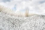 Horse in Portuguese. Bahia, Brazil. 2016.Details – Handsigned. Open Edition. Medium: Archival pigment print. Paper: Pro Luster. Image Size: 10 x 6.67-inches, unframed. $135