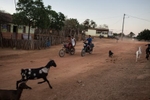 Campo Alegre de Lourdes, Brazil. Tuesday, July 21, 2015.Goats and motorcyles pass by each other in a village near Campo Alegre de Lourdes, where residents here work with community-based non-profit, Sasop, which taught them food security during drought periods.One family said that the drought now is as a bad as it was in 1982 where people and animals were both dying. Today (2015), they are more autonomous because of what they’ve learned to live with drought. When water quality improved so did infant mortality. They no longer drink water from the ground. Ten years ago the children here did not know vegetables. Only the very basics like, onion, cilantro and fruits.