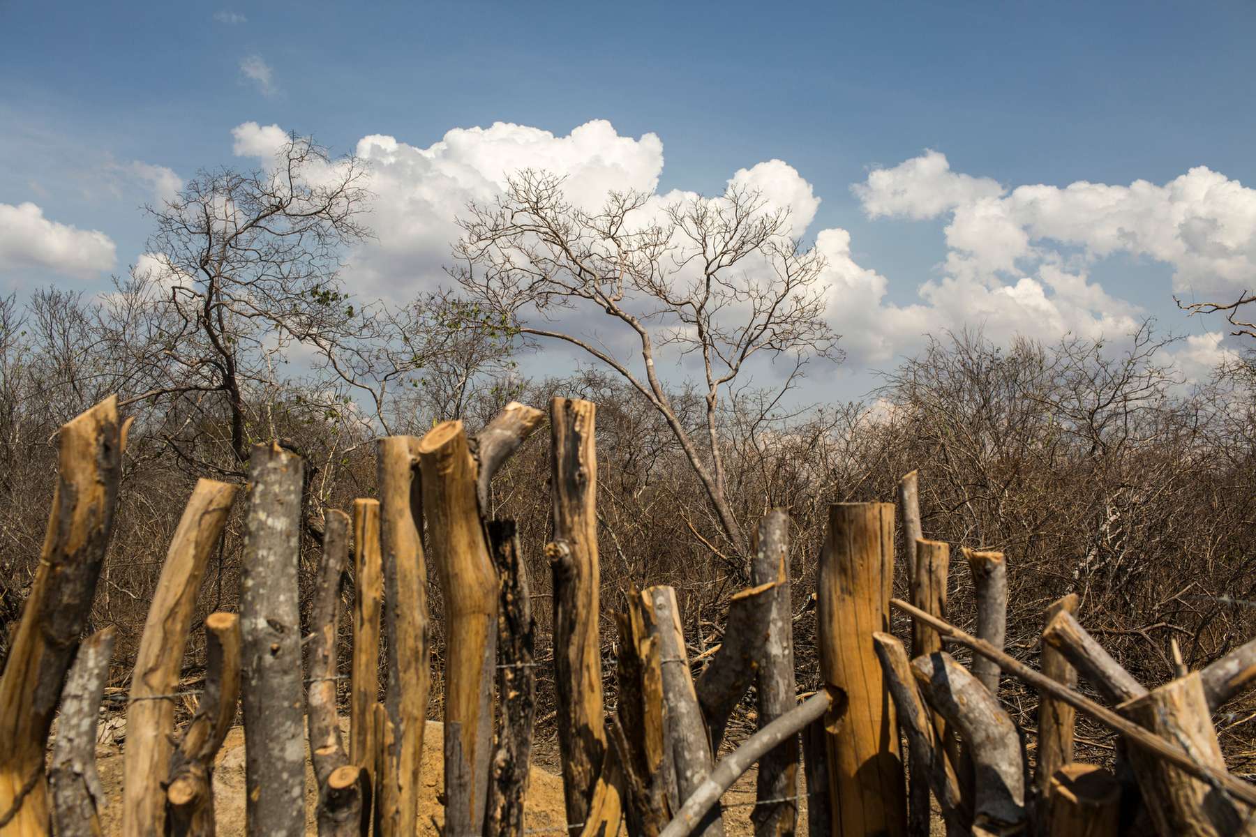 Campo Alegre de Lourdes, Bahia, Brazil, on Monday, Nov. 16, 2015.