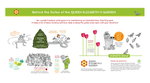 Illustration and design for the Queen Elizabeth II Garden infographic and collateral materials.
