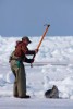 A seal looks up as a hunter clubs it