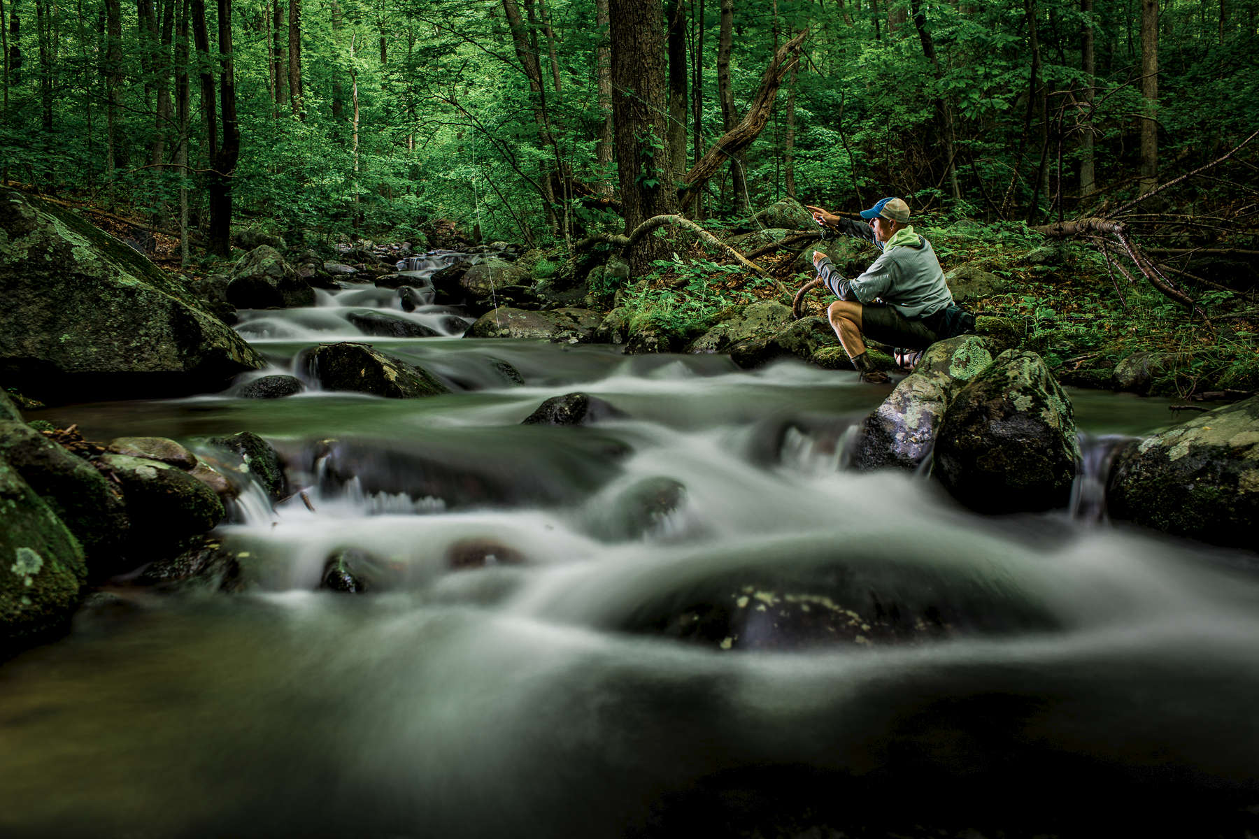 Fly fishing for Brook and rainbow trout in Blue Ridge Mountains of Virginia.