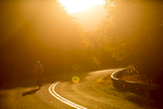 Man cycling, or road biking, on the Blue Ridge Parkway outside Roanoke, Virginia, at evening in fall color.