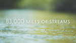 83000-miles-for-streams