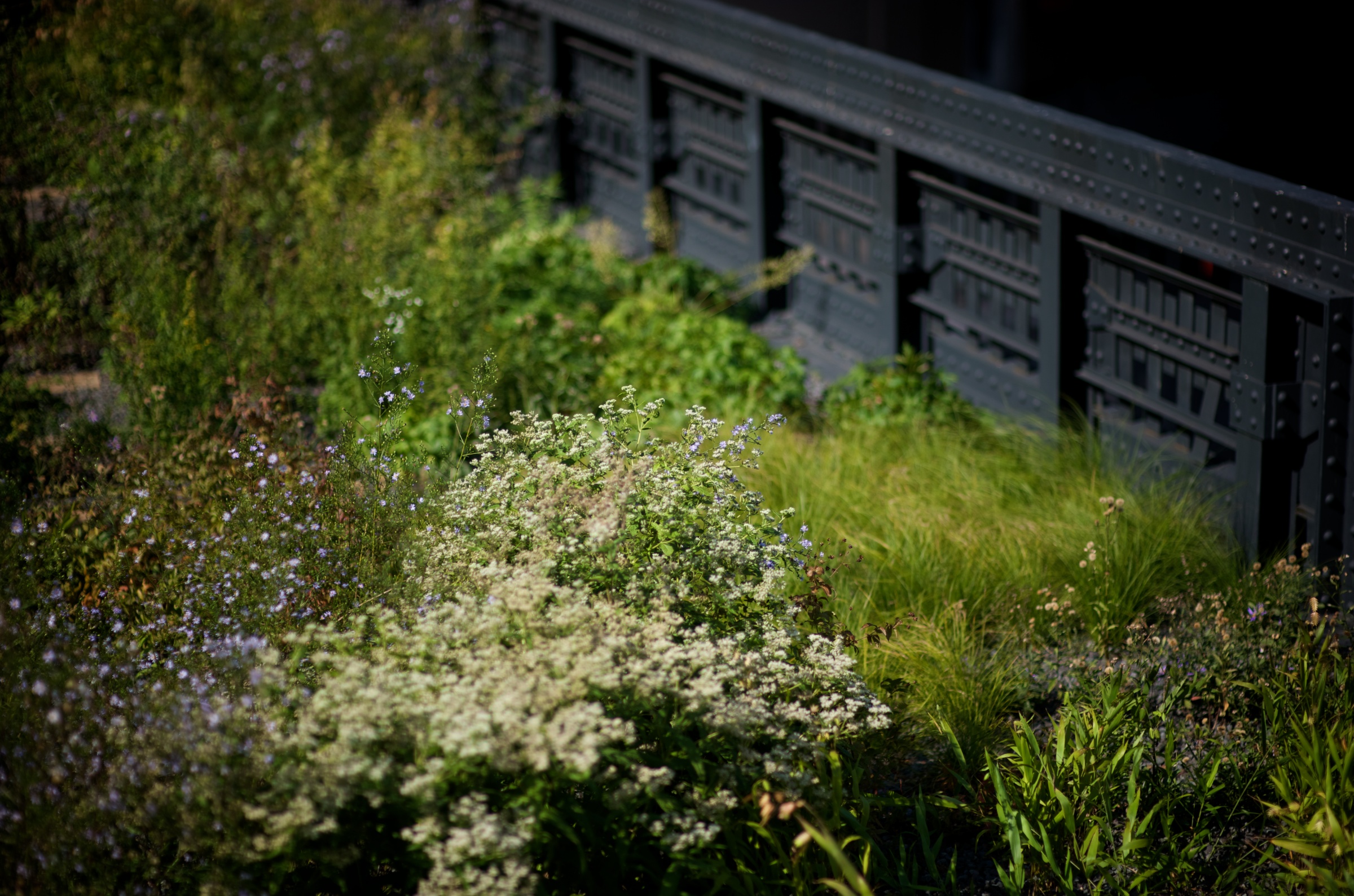 The High Line is located on Manhattan's West Side. It runs from Gansevoort Street in the Meatpacking District to 34th Street, between 10th & 11th Avenues. © mark menditto