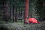 Spring damp camp on the Middle Fork of the Salmon River 2021