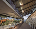 Quarry Exhibit Dinosaur NM for Anderson Hallas ArchitectsArchitectural Photography by: Paul Richer / RICHER IMAGES
