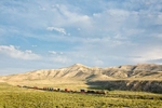  A freight train meandering through the open space of southern Wyoming, west of Rock Springs.