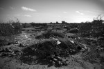 A cemetary within Dadaab refugee camp. Many refugees are  burying their dead outside of designated cemeteries and are failing to report deaths to camp authorities, who need to collect such information for disease-control purposes.