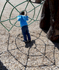 3/20/16-- NATICK-- {quote}caught in the web{quote}  Nazarii Vitouskyi, 3, was playing with his parents Roman and Alla at John J. Lane Park in natick Wednesday.Daily News and Wicked Local Staff Photo/Art Illman