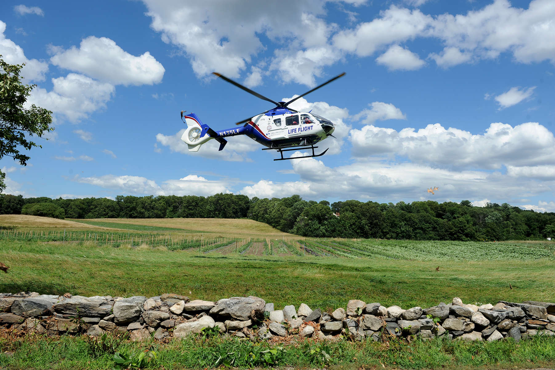 7/19/16-- SOUTHBOROUGH-- UMass Memorial Lifeflight lands at Chestnut Hill Farm Tuesday afternoon to transort a car crash victim.Daily News and Wicked Local Staff Photo/Art Illman