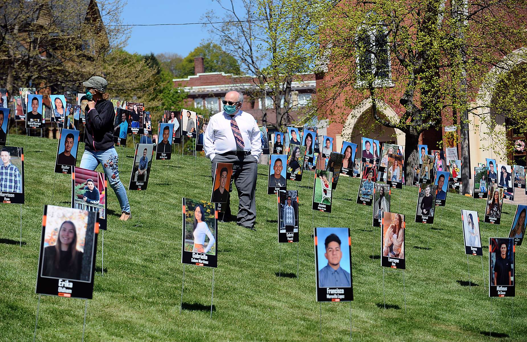 5/14/20-- MARLBOROUGH-- Marlborough School Committee member Dan Caruso walks through some 250 Marlborough High School senior portraits planted on the hill in front of the Walker Buliding Thursday afternoon.  [Daily News and Wicked Local Staff Photo/Art Illman]