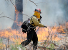 5/7/14-- MARLBOROUGH-- for kendall storyTom Muise, District 14 Fire Warden, Bureau of Forest Fire Control in Hopkinton, makes his way through a  controlled burn at the Desert Natural Area on the Sudbury-Marlborough line Wednesday.Daily News Staff Photo/Art Illman