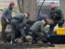 Mass. Environmental Police assisted Marlborough Police tranquilizing and relocating a moose on the loose, which came to rest behind a Shawmut Ave. home Tuesday morning, Feb. 22, 2022. 
