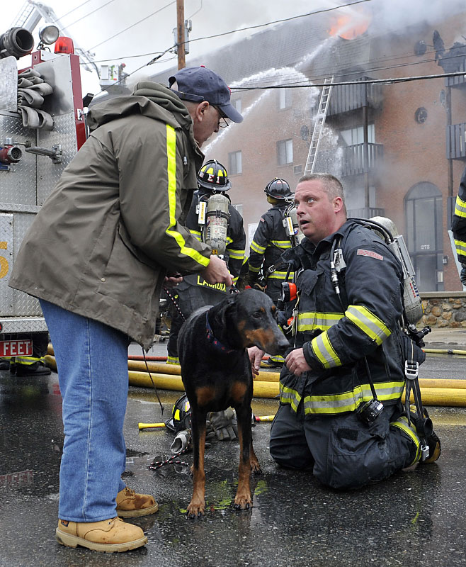 Marlborough Firefighter Tom Mellor returns April to owner Hal Babbits at the Lake Williams condo complex at 273 West Main St.  in April of 2012. Capt. Dave D'Amico, Lt. Dan Chiroussis, and firefighters Matt Lupisella  and Mellor went in to rescue the dog from the second floor during the six-alarm blaze.