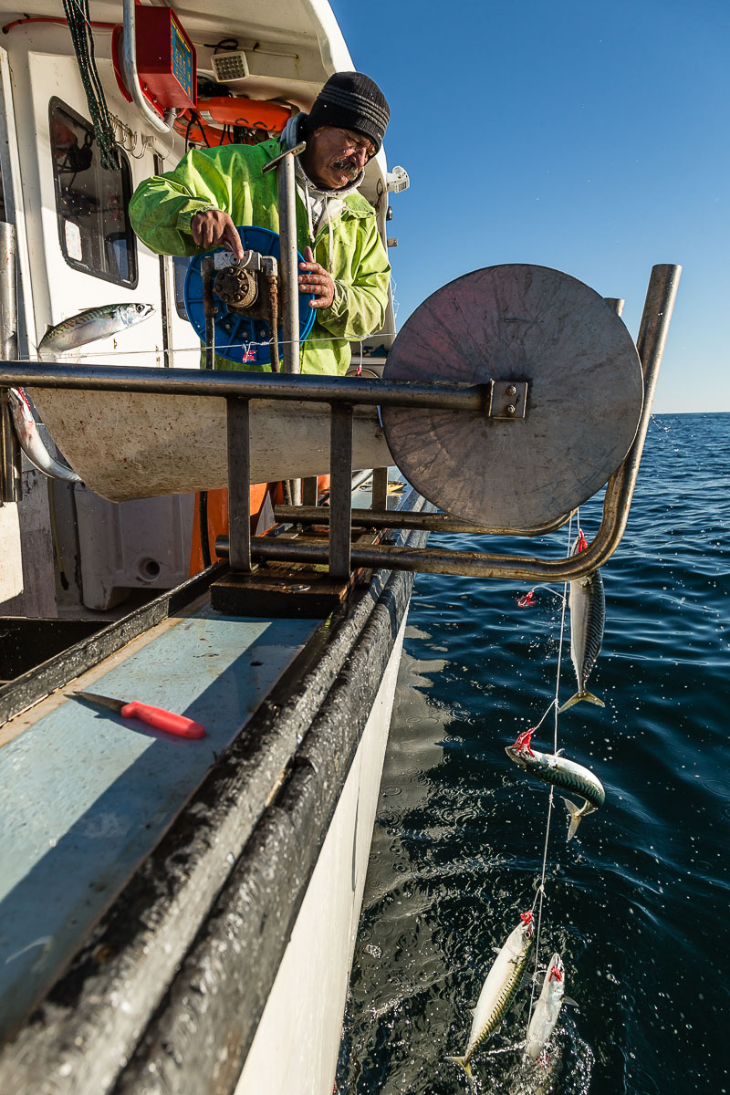 Jigging for mackerel in the waters off Cape Cod, Massachusetts.