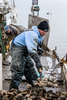 Jason Daniels stacks oysters on the skipjack Fannie L. Daugherty near Deal Island, Chesapeake Bay.