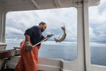 z-commercial-fishing-11