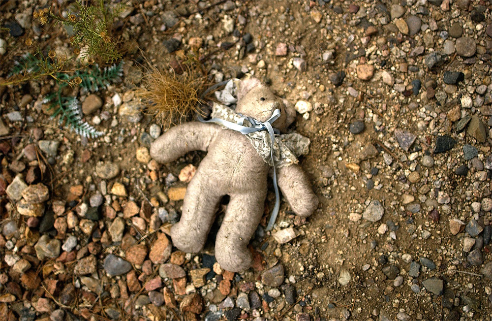 A stuffed bear lies on the ground near the intersection of Copper Avenue and Tramway Boulevard where Jennifer McDargh, 11, was struck while walking home from school on April 16, 2001. The disheveled memorial, erected by classmates and friends, has been relocated underneath an elevated crosswalk at the intersection which Jennifer chose not to use.