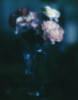 polaroid_flower8x10