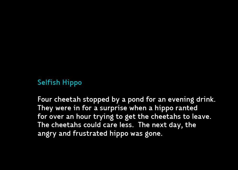 HippoB